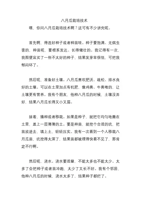 八月瓜栽培技术 2