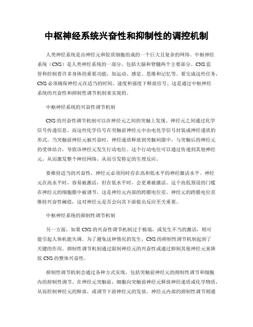 中枢神经系统兴奋性和抑制性的调控机制