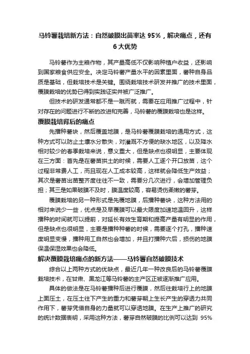 马铃薯栽培新方法：自然破膜出苗率达95%，解决痛点，还有6大优势