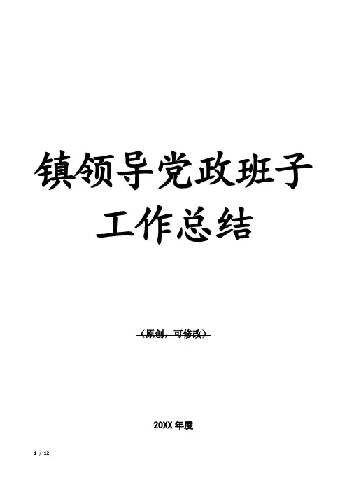 镇领导党政班子工作总结