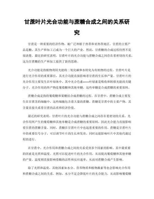 甘蔗叶片光合功能与蔗糖合成之间的关系研究