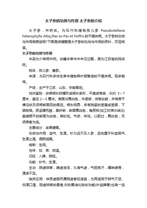 太子参的功效与作用太子参的介绍