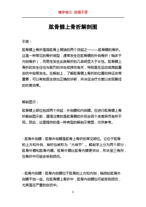 肱骨髁上骨折解剖图