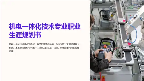 机电一体化技术专业职业生涯规划书