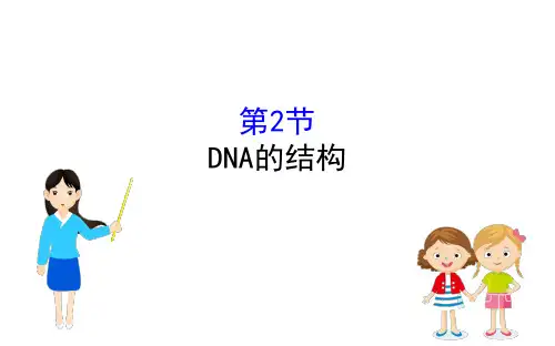 新教材2020人教版生物必修二课件32DNA的结构
