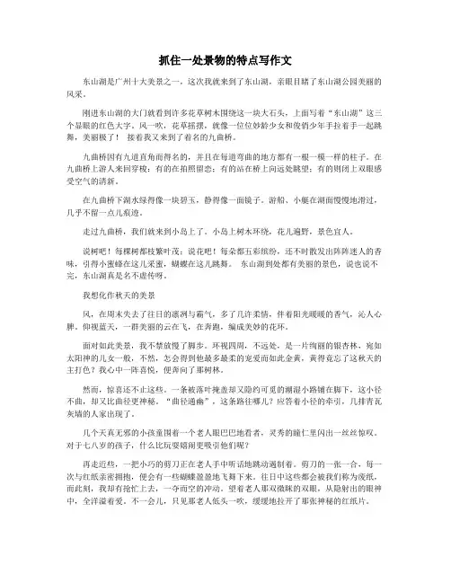 抓住一处景物的特点写作文