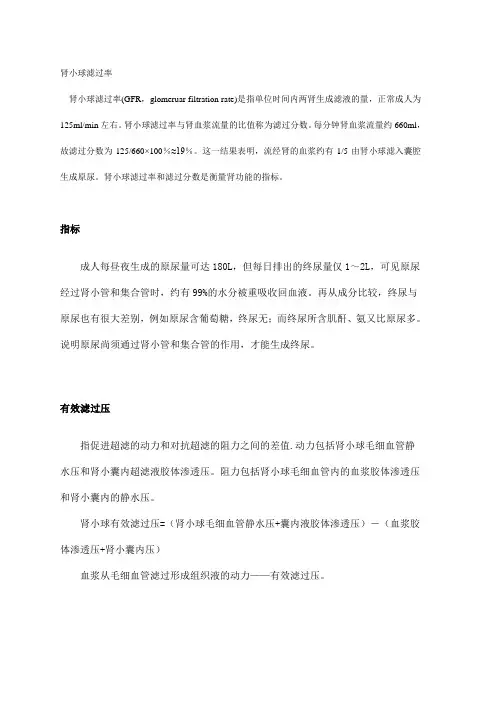 肾小球滤过率