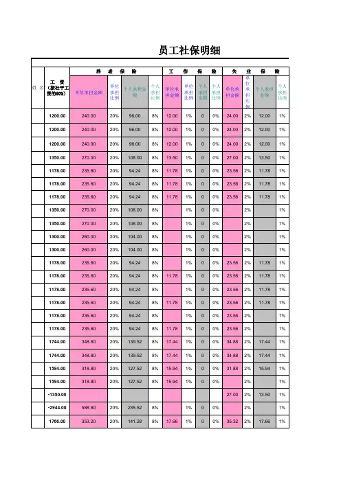 五险缴费明细表