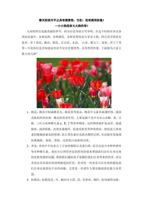 春天的花可不止具有观赏性,它们,还有药用价值!