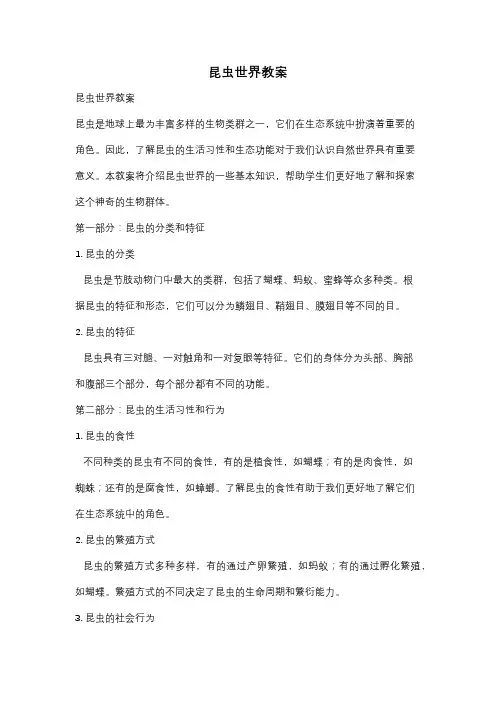 昆虫世界教案