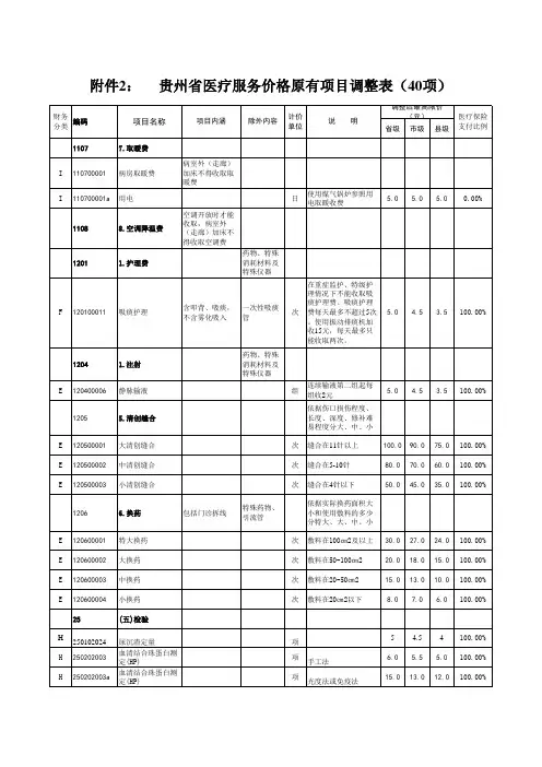 新增医疗服务项目