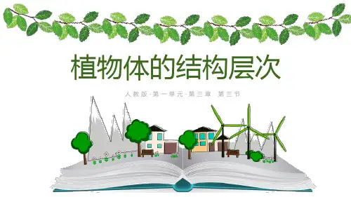 植物体的结构层次ppt课件