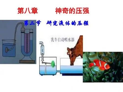 新沪粤版八年级物理下册第八章同步教学课件 8.2研究液体的压强(共30张PPT)