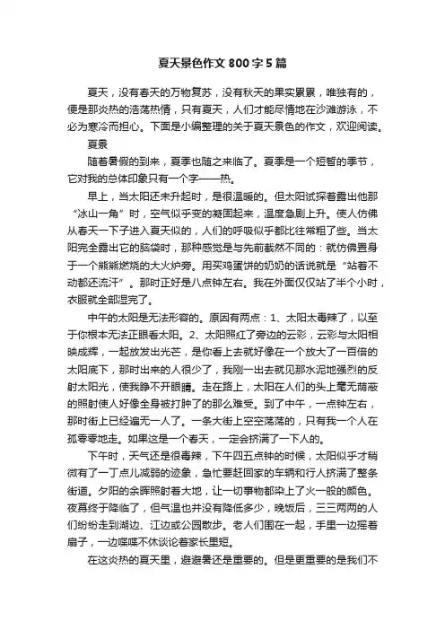 夏天景色作文800字5篇