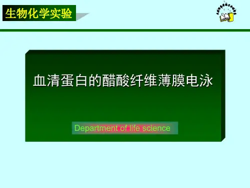 实验四  醋酸纤维薄膜电泳2008