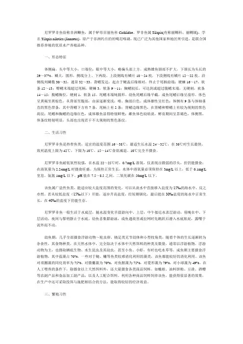 尼罗罗非鱼