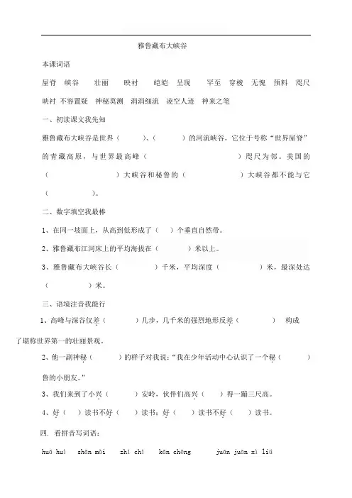 人教版四年级上册第二课雅鲁藏布大峡谷练习题