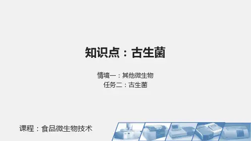 04-古生菌