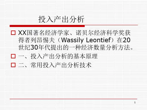 投入产出分析ppt素材