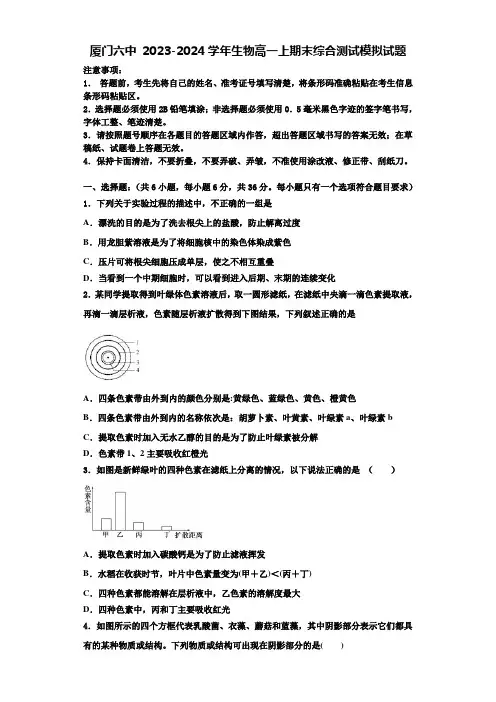 厦门六中 2023-2024学年生物高一上期末综合测试模拟试题含解析