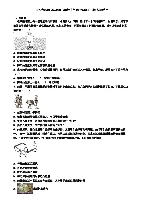山东省青岛市2019年八年级上学期物理期末试卷(模拟卷三)