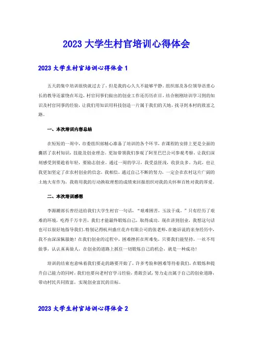 2023大学生村官培训心得体会