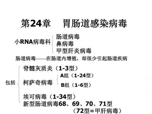 医学微生物学课件--第24章 胃肠道感染病毒