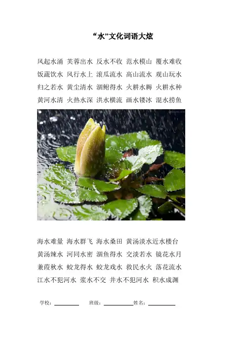 水的四个词语