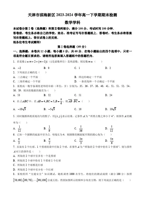 天津市滨海新区2023-2024学年高一下学期期末检测数学试卷(含答案)