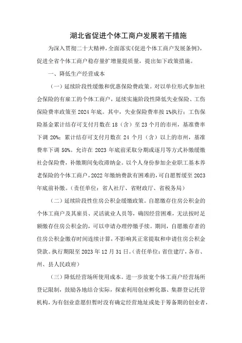 湖北省促进个体工商户发展若干措施