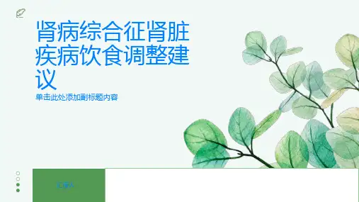 肾病综合征肾脏疾病的饮食调整建议