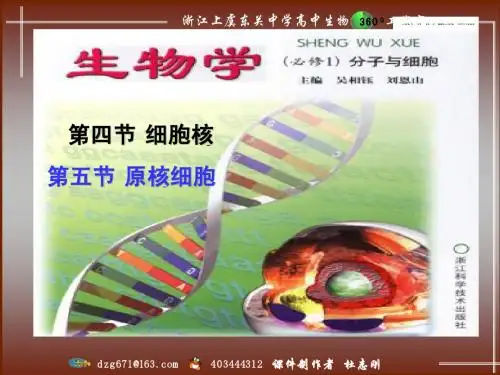 第二章 细胞的结构 (第四节细胞核 第五节原核细胞)