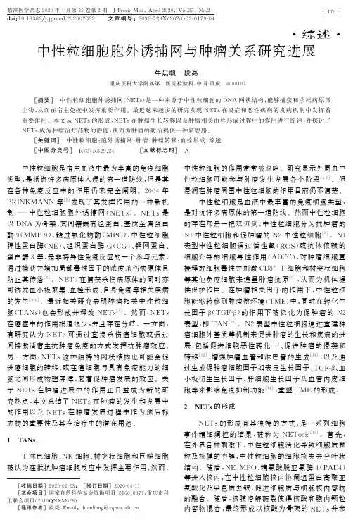 中性粒细胞胞外诱捕网与肿瘤关系研究进展