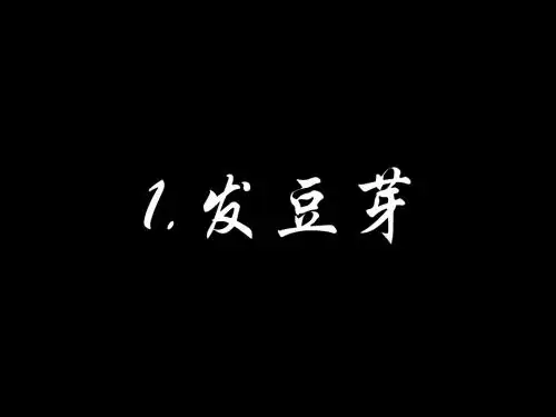 生物幻灯片 - 豆芽的生长
