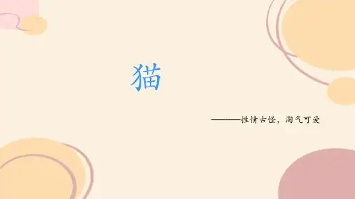 部编版语文四年级下册13猫课件(共22张PPT)