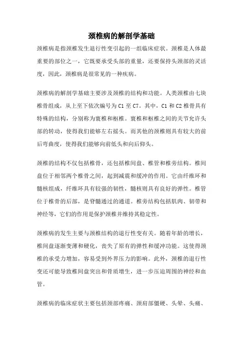 颈椎病的解剖学基础