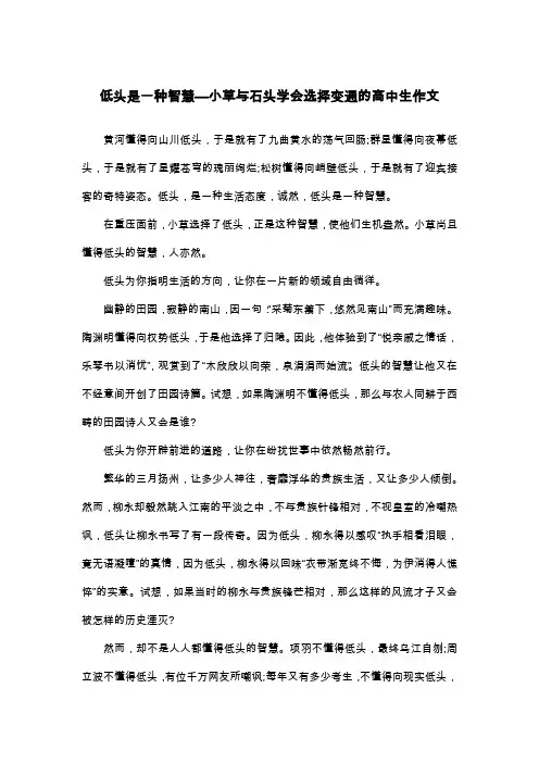 低头是一种智慧—小草与石头学会选择变通的高中生作文_议论文