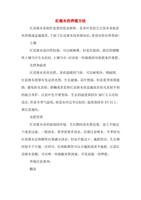 红继木的养殖方法