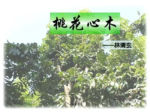 人教版语文六年级下册《桃花心木》  ppt课件