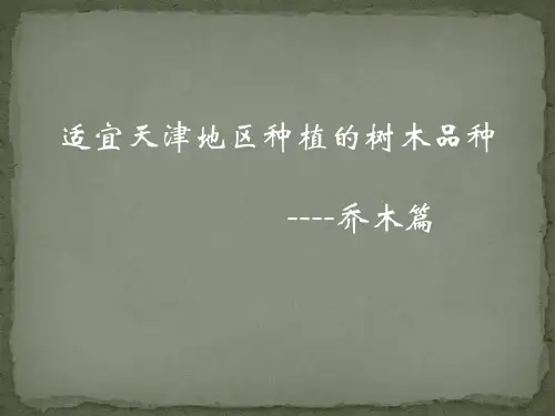 天津宜成活的树种乔木篇
