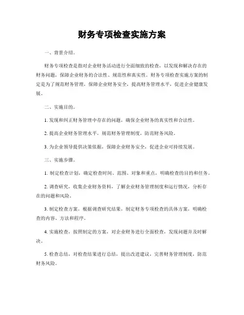 财务专项检查实施方案