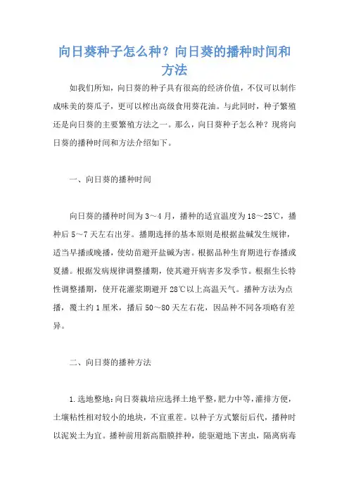 向日葵种子怎么种？向日葵的播种时间和方法