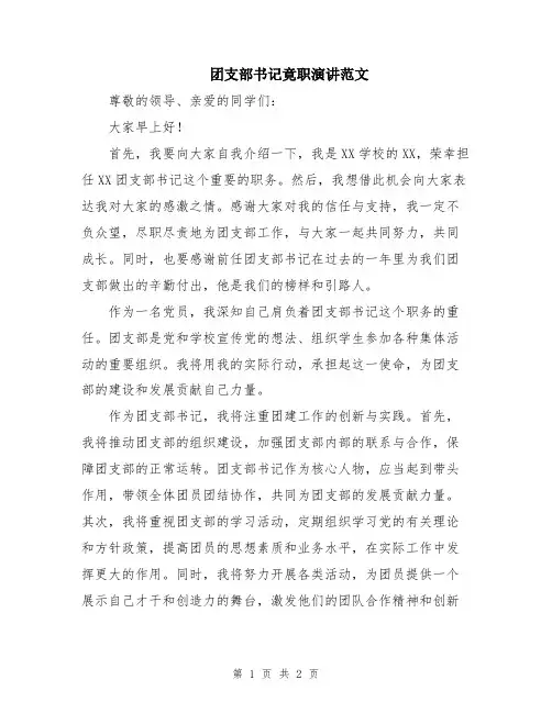 团支部书记竟职演讲范文