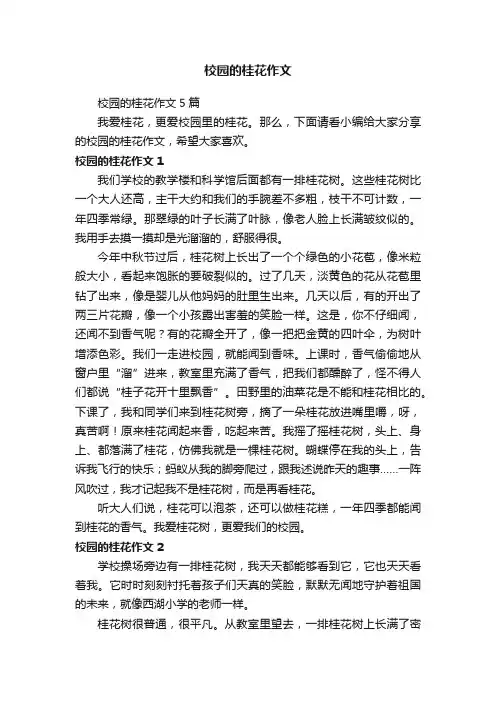 校园的桂花作文