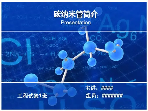 碳纳米管简介