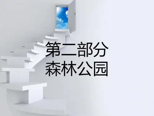 森林公园
