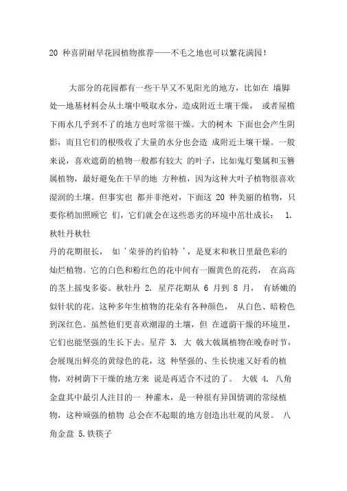 20种喜阴耐旱花园植物推荐不毛之地也可以繁花满园