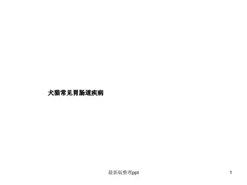 犬猫常见消化道疾病ppt课件