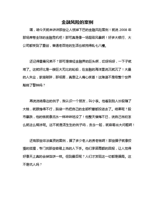 金融风险的案例