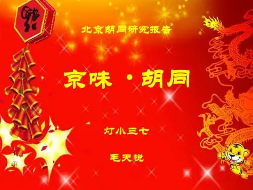 胡同研究报告